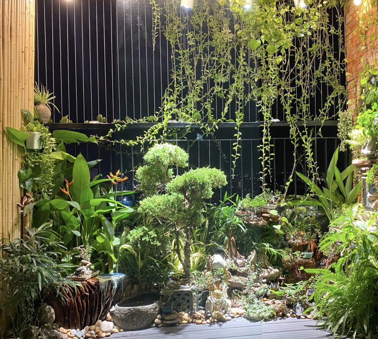 Mẹ đảm Hà Nội mang vườn cây thác nước lên ban công 3m2, biến căn hộ chung cư thành không gian siêu chill - 1